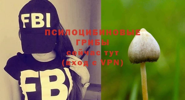 ПСИЛОЦИБИНОВЫЕ ГРИБЫ Вяземский