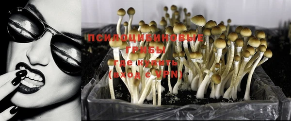 бутират Алексеевка