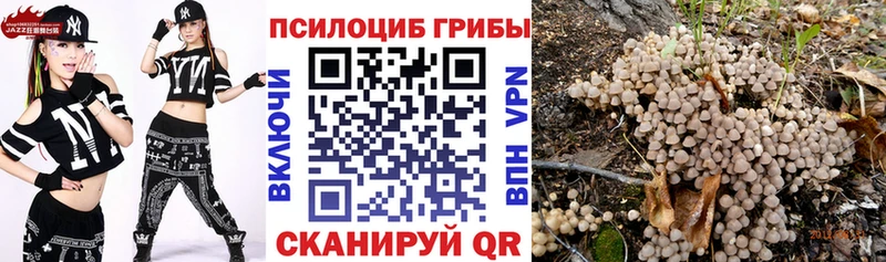 Галлюциногенные грибы Psilocybe  KRAKEN ONION  Любань  дарнет шоп 